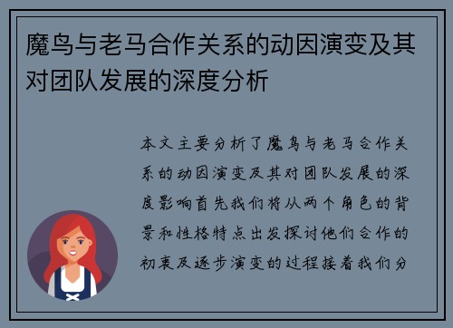 魔鸟与老马合作关系的动因演变及其对团队发展的深度分析