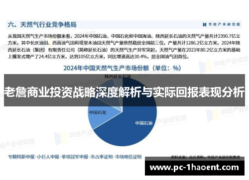 老詹商业投资战略深度解析与实际回报表现分析 老詹商业投资战略深度解析与实际回报表现分析