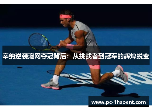 辛纳逆袭澳网夺冠背后：从挑战者到冠军的辉煌蜕变